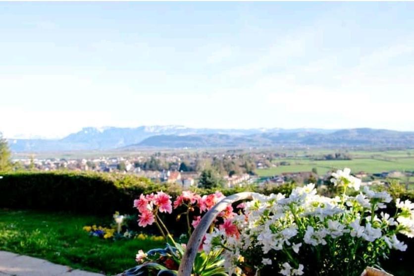 La Villa Jo Le Grand-Lemps Dış mekan fotoğraf